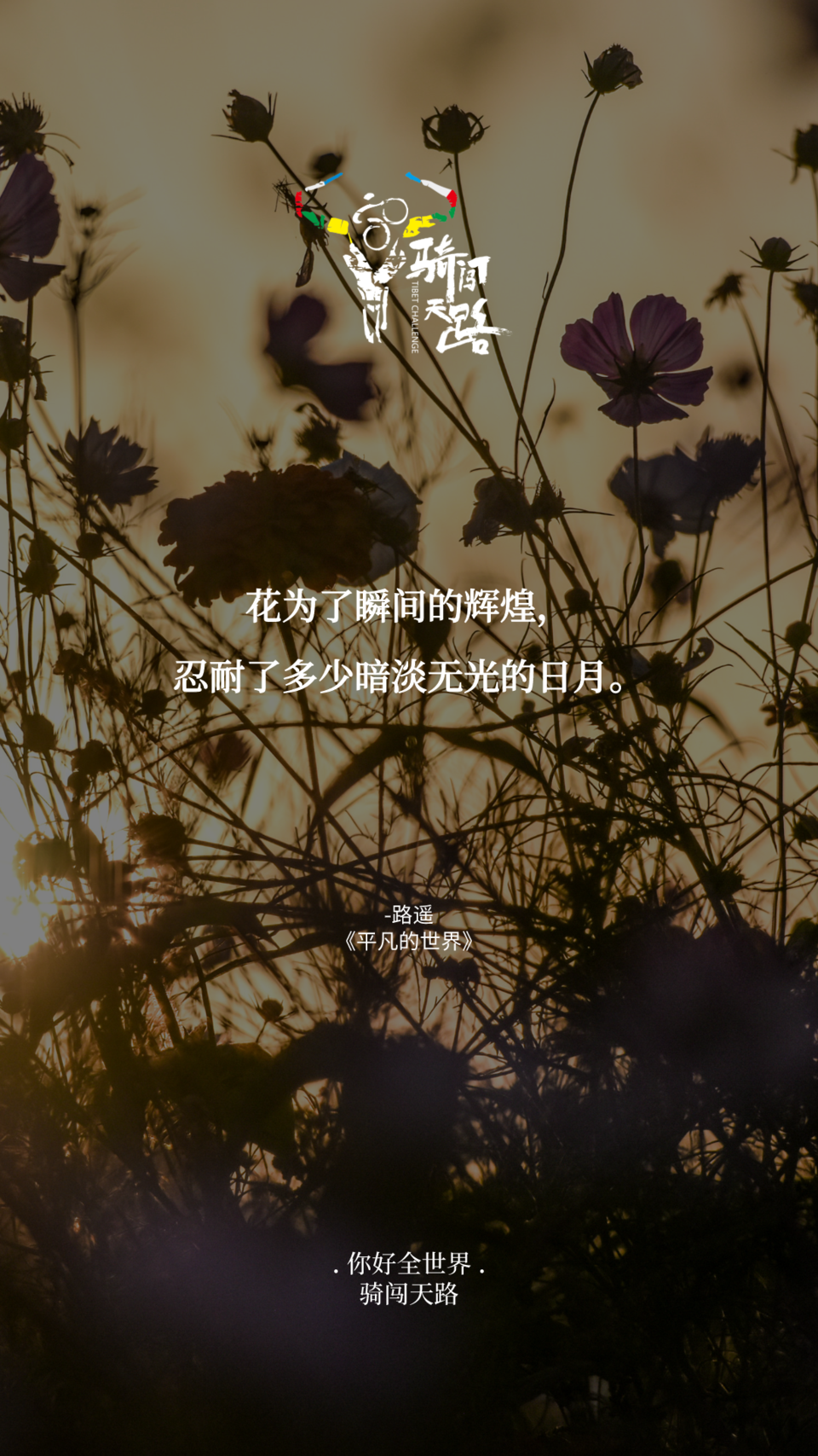 【日签】骑闯831