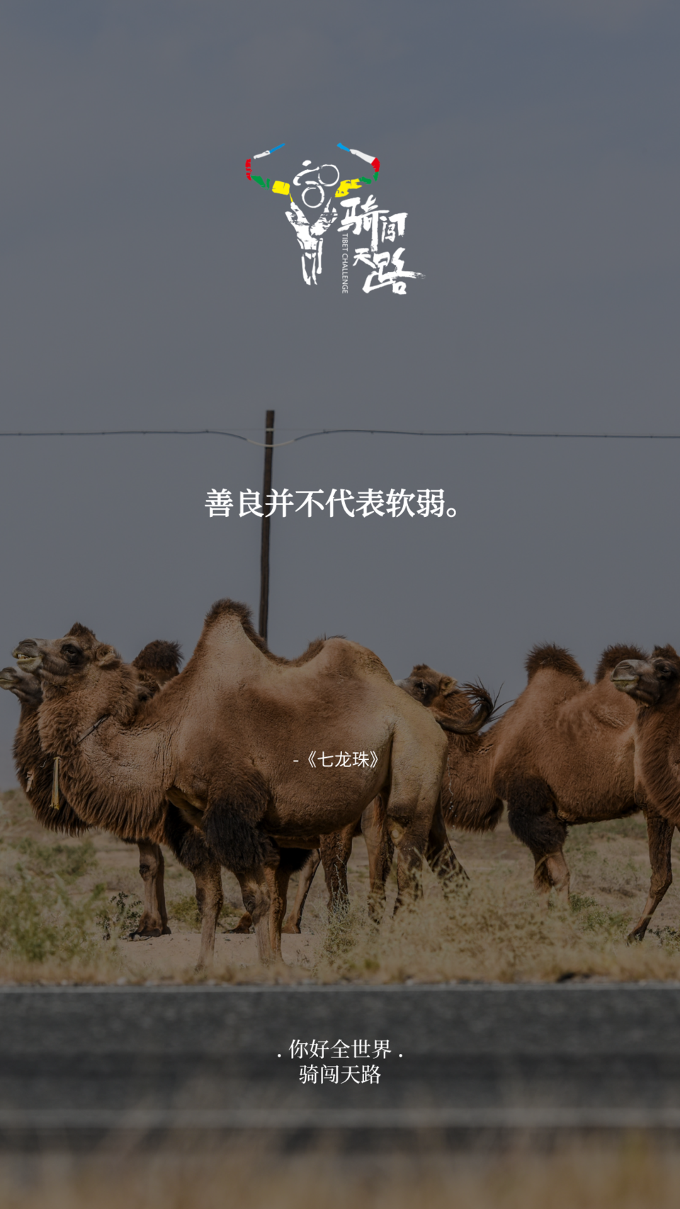 【日签】骑闯837