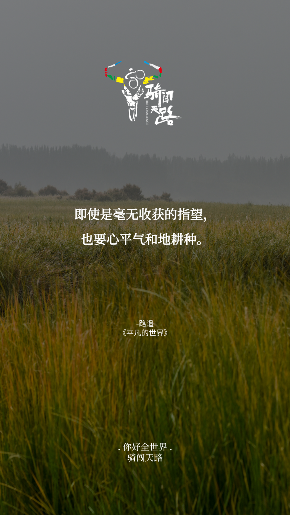 【日签】骑闯849