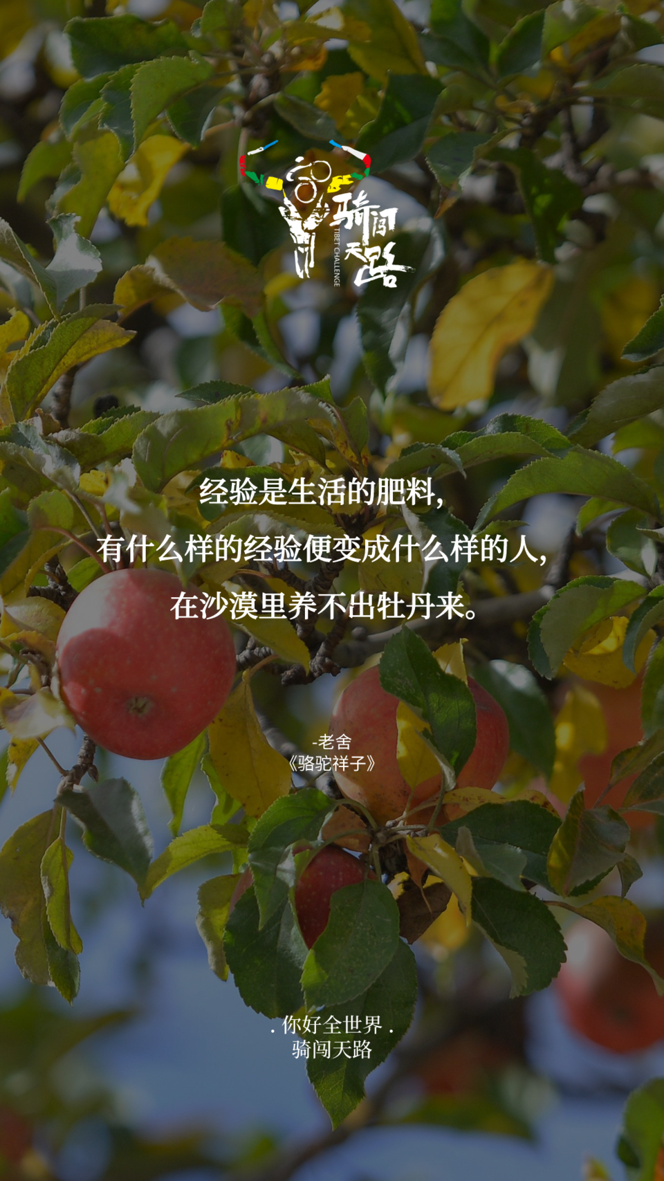 【日签】骑闯864