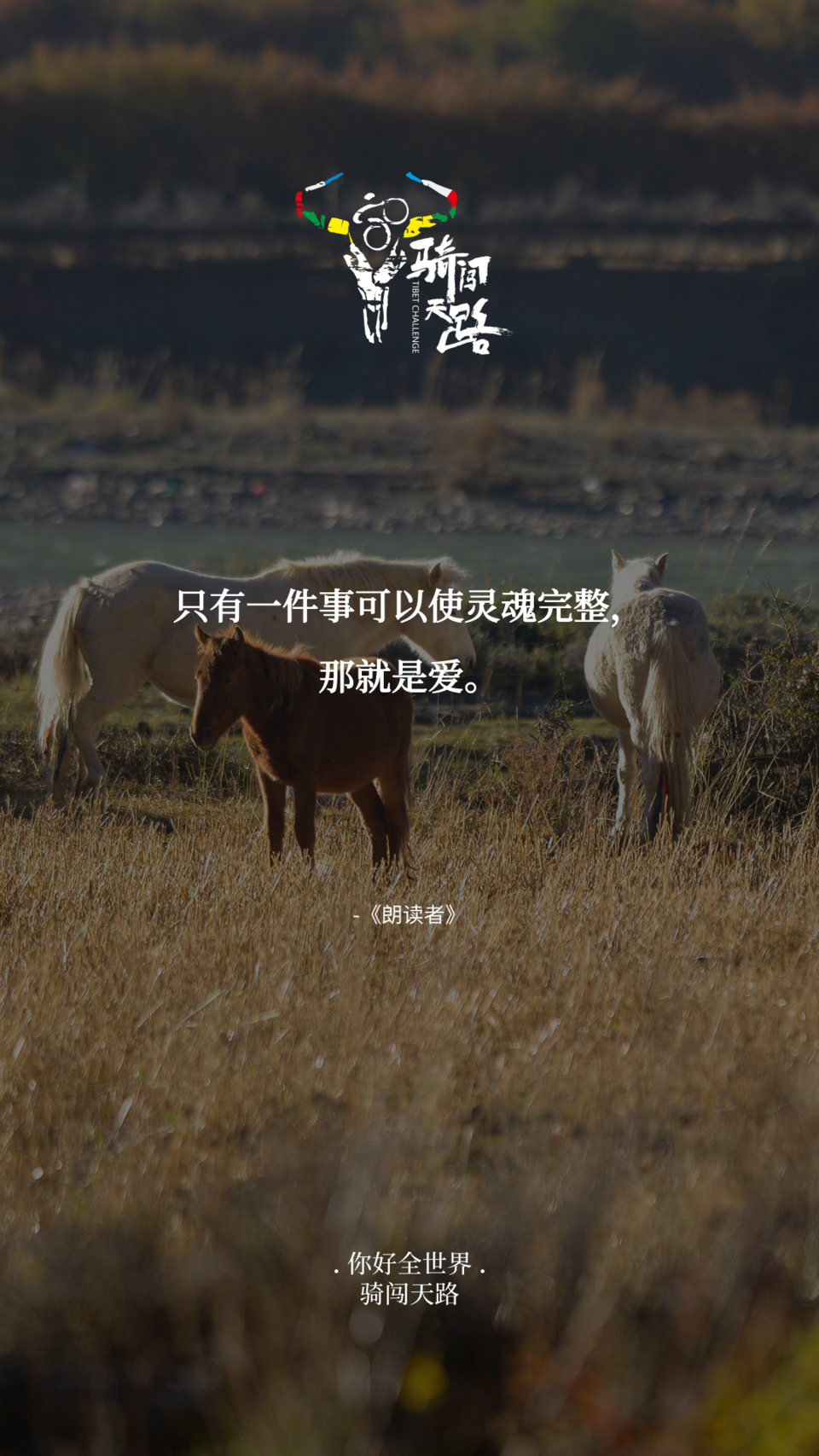 【日签】骑闯866