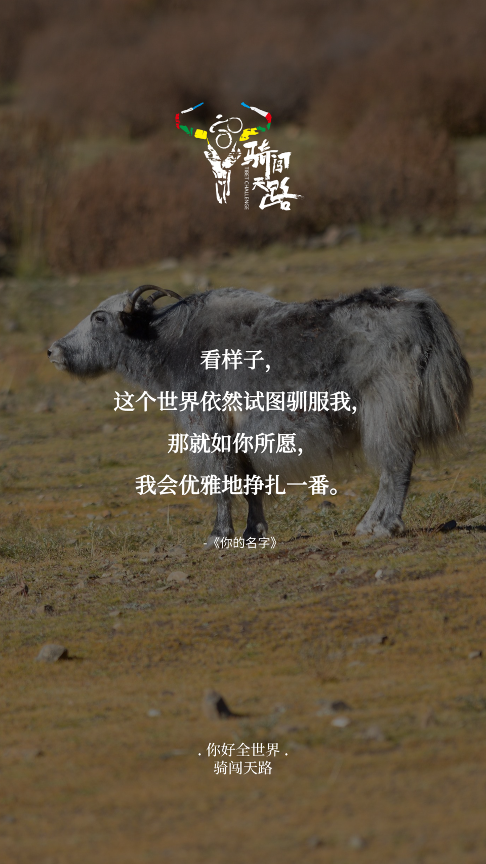 【日签】骑闯867