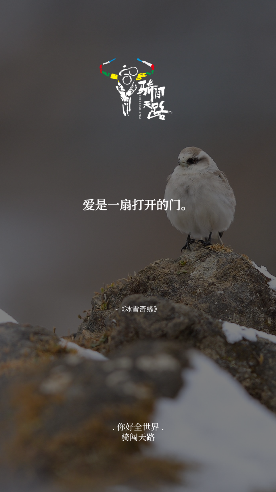 【日签】骑闯871