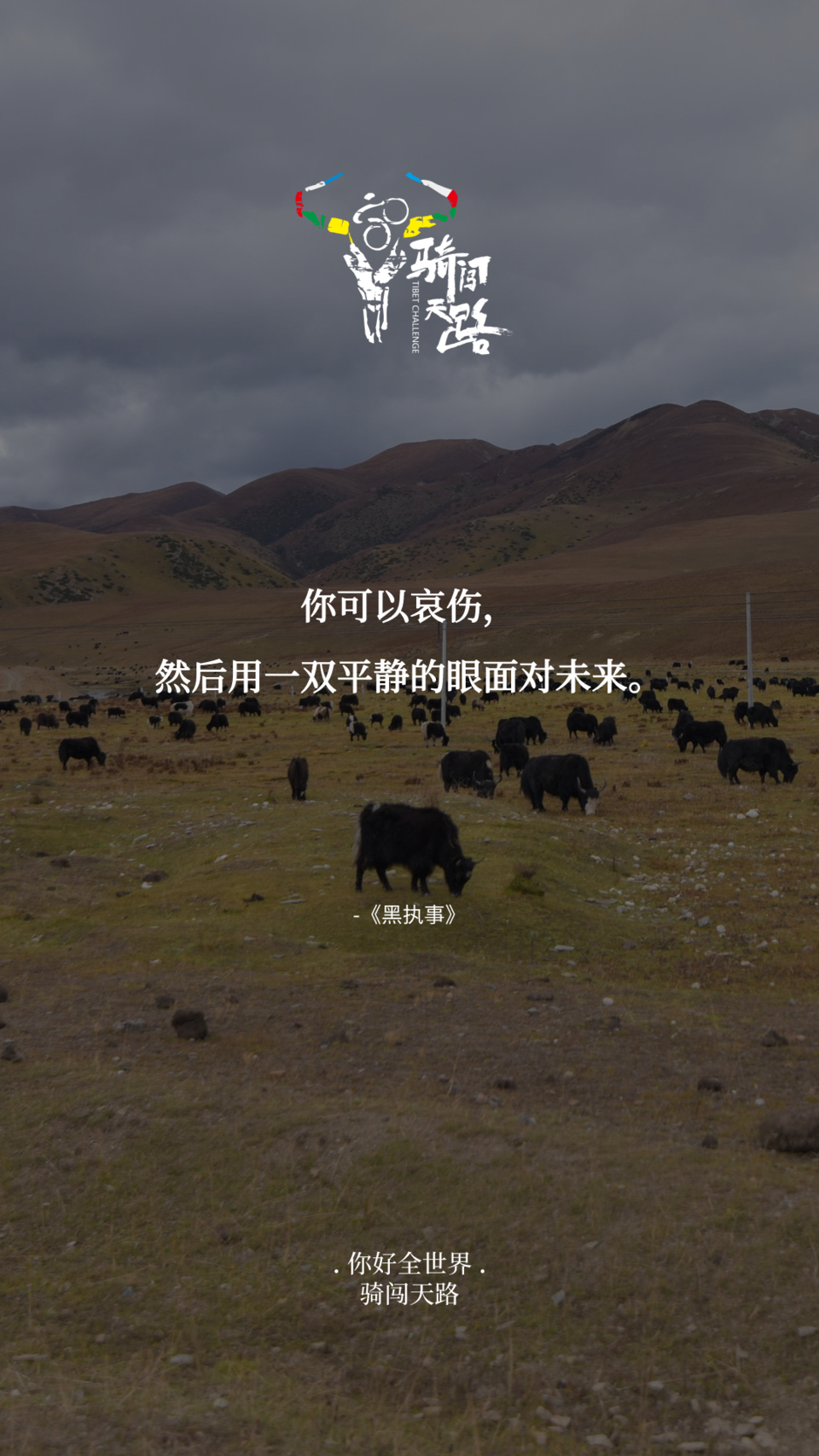 【日签】骑闯872