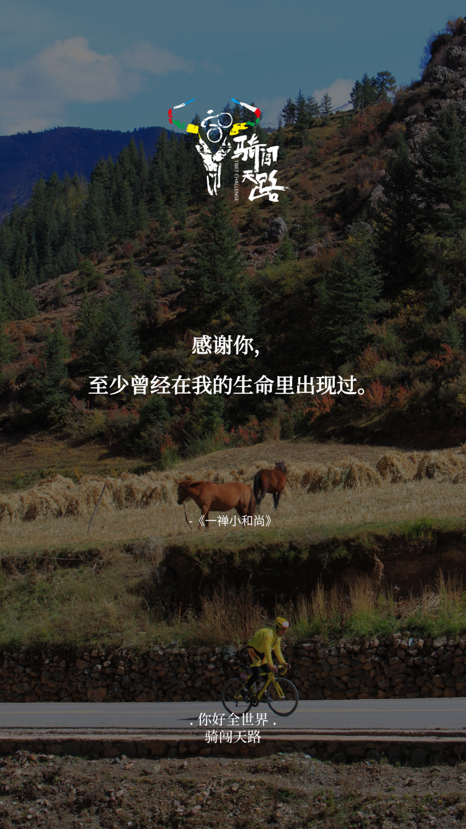 【日签】骑闯875