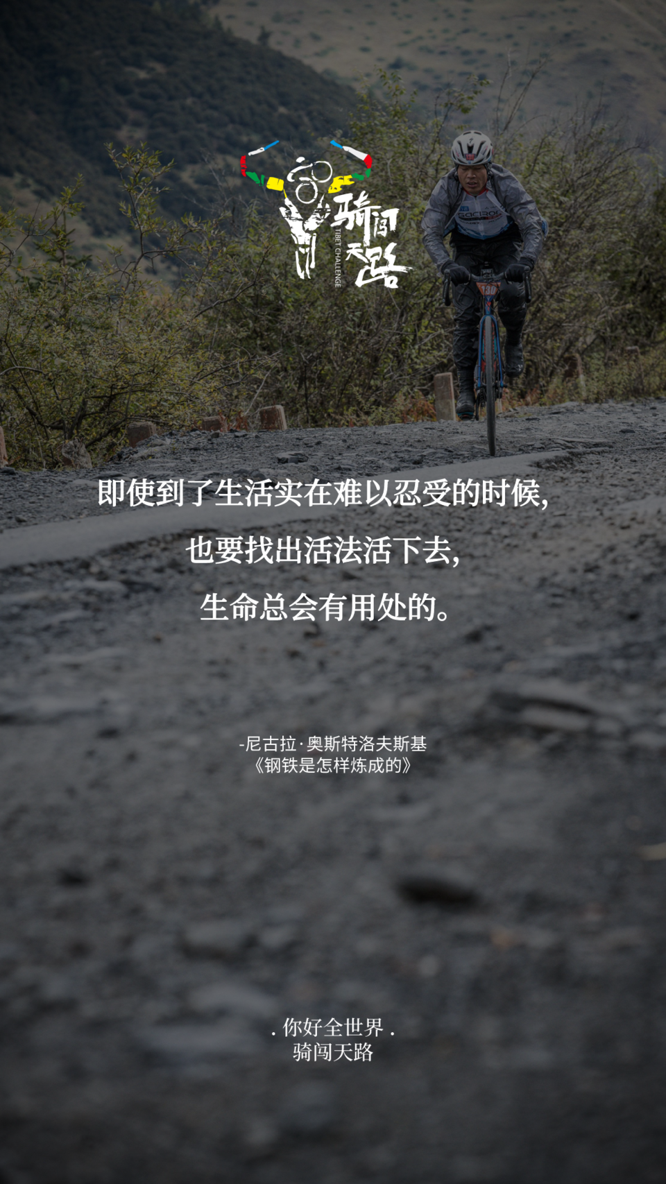 【日签】骑闯878