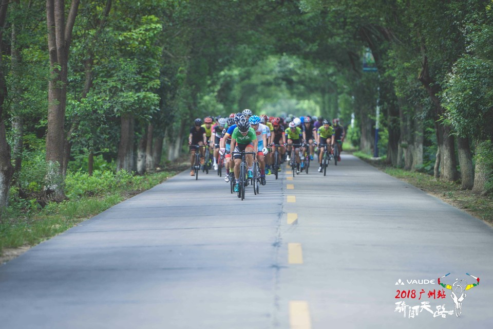 格式工厂四川疯子-2577