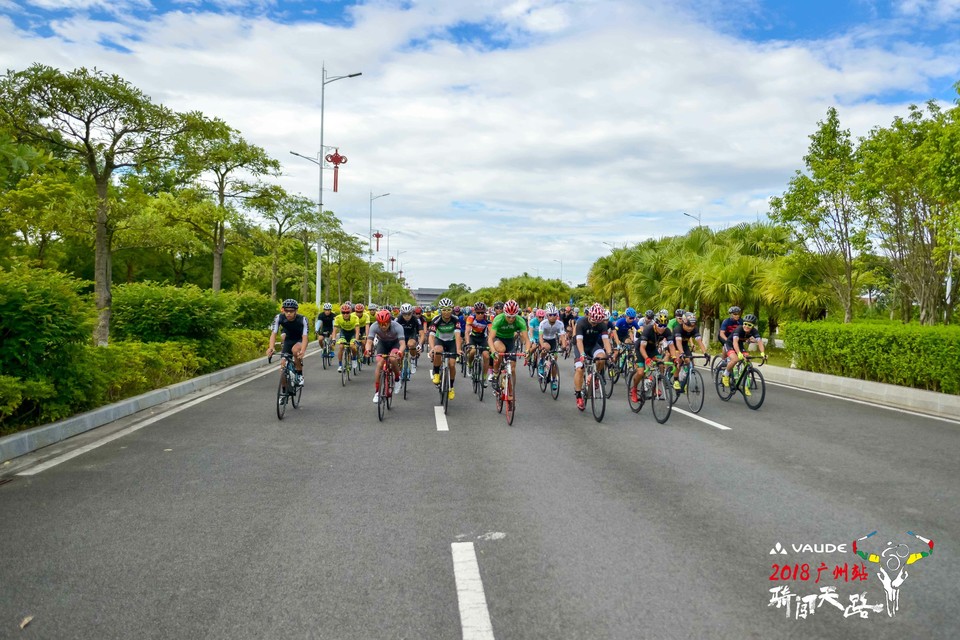 格式工厂四川疯子-8686