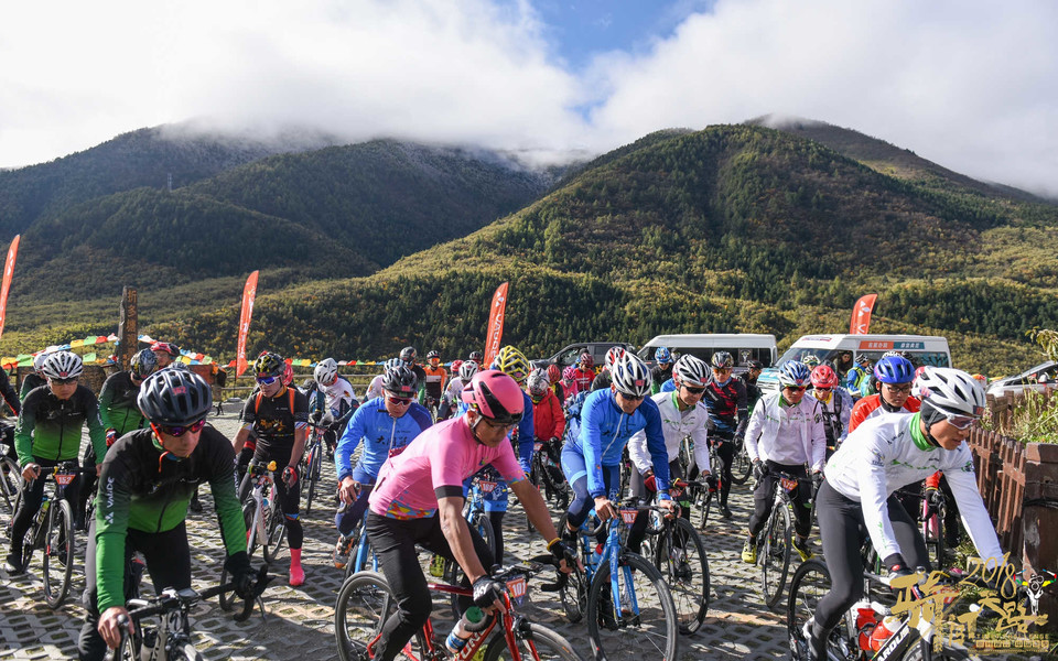 R81_1342_眸目压缩