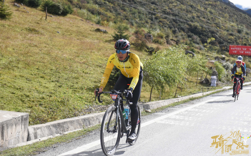 R81_1365_眸目压缩