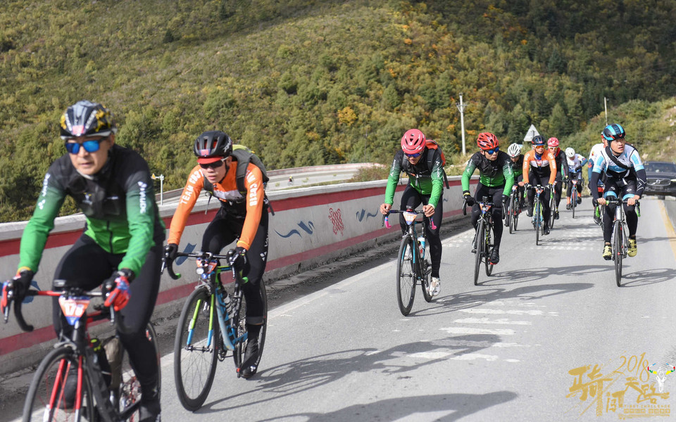 R81_1416_眸目压缩