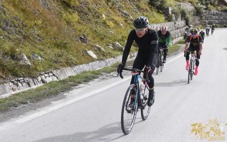 R81_1446_眸目压缩