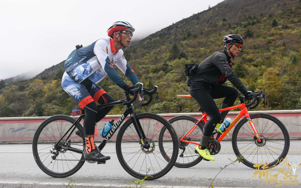 R81_1497_眸目压缩