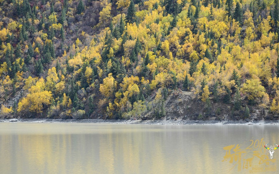 格式工厂阿怪 - 24