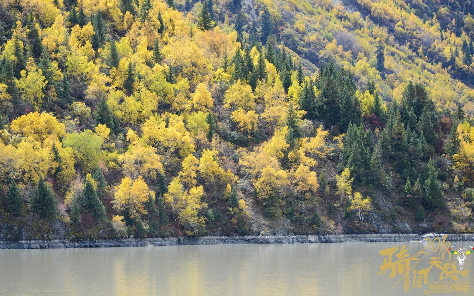 格式工厂阿怪 - 25