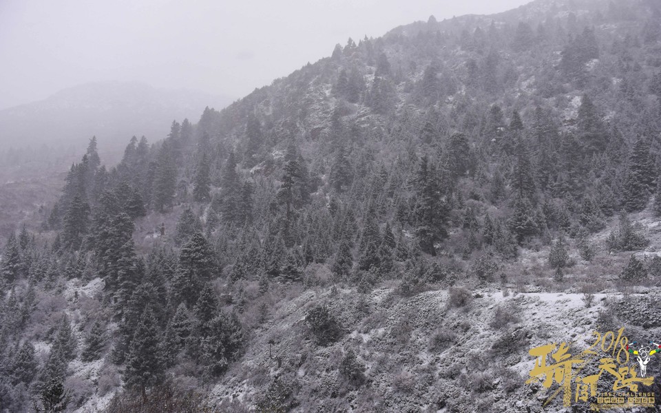 格式工厂阿怪 - 34