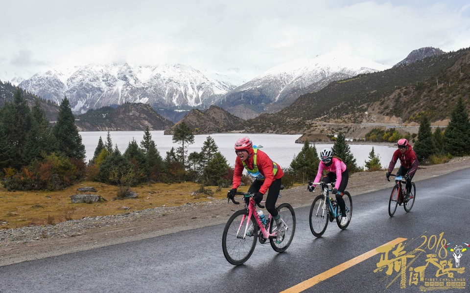 格式工厂阿怪 - 74