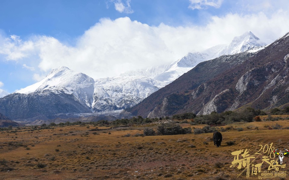 格式工厂阿怪 - 139