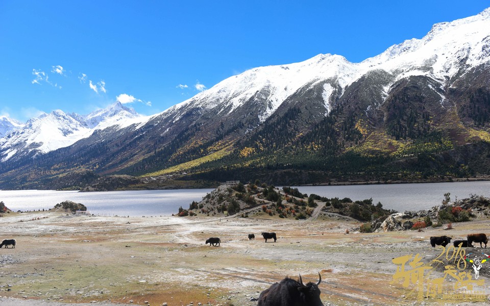 格式工厂阿怪 - 218