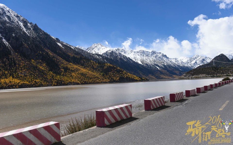 格式工厂阿怪 - 221