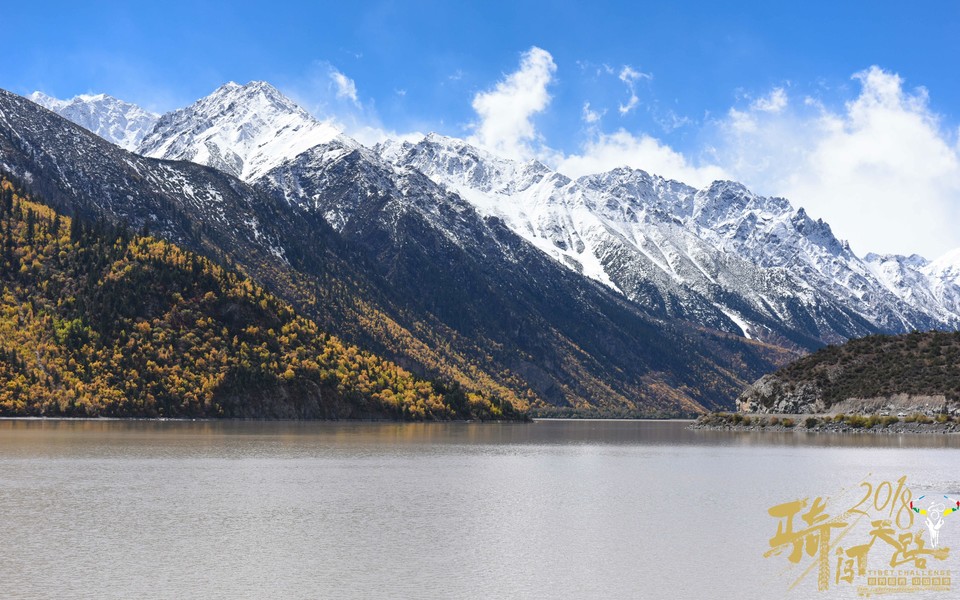 格式工厂阿怪 - 222