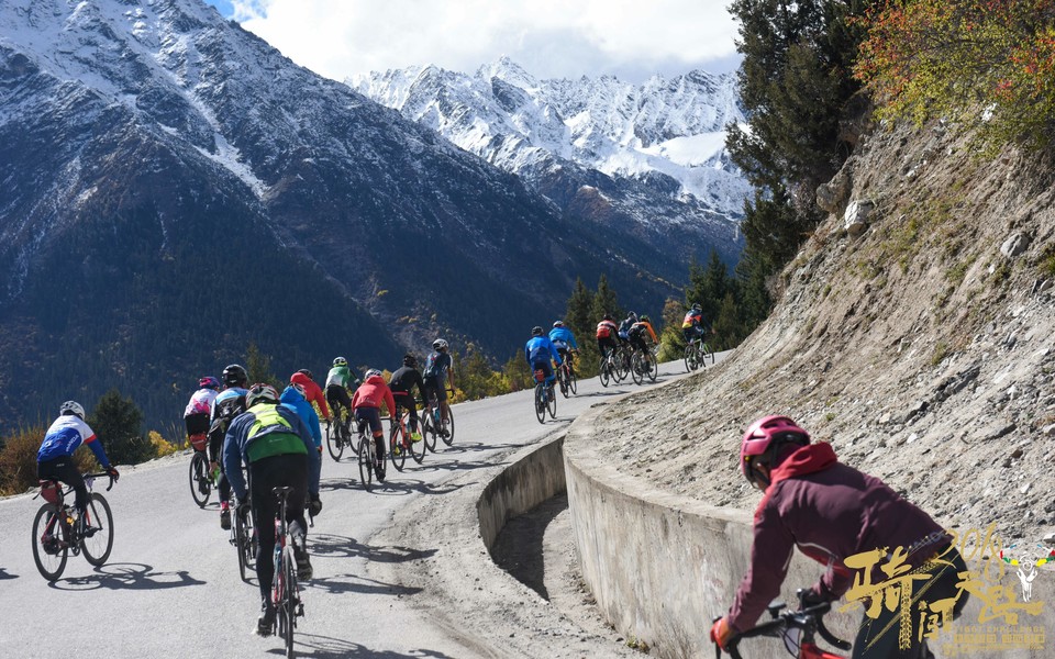 格式工厂阿怪 - 226