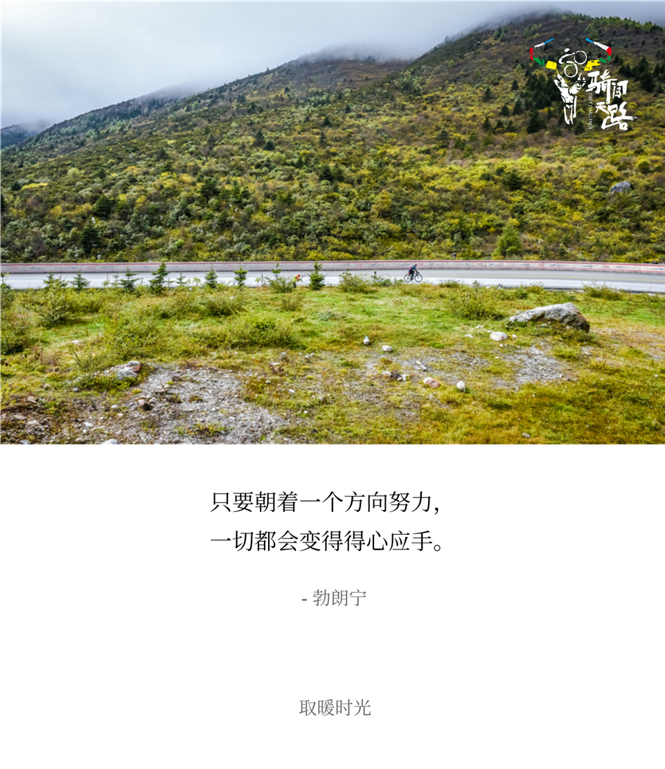 017 2019.03.28 Caesar-D8-062