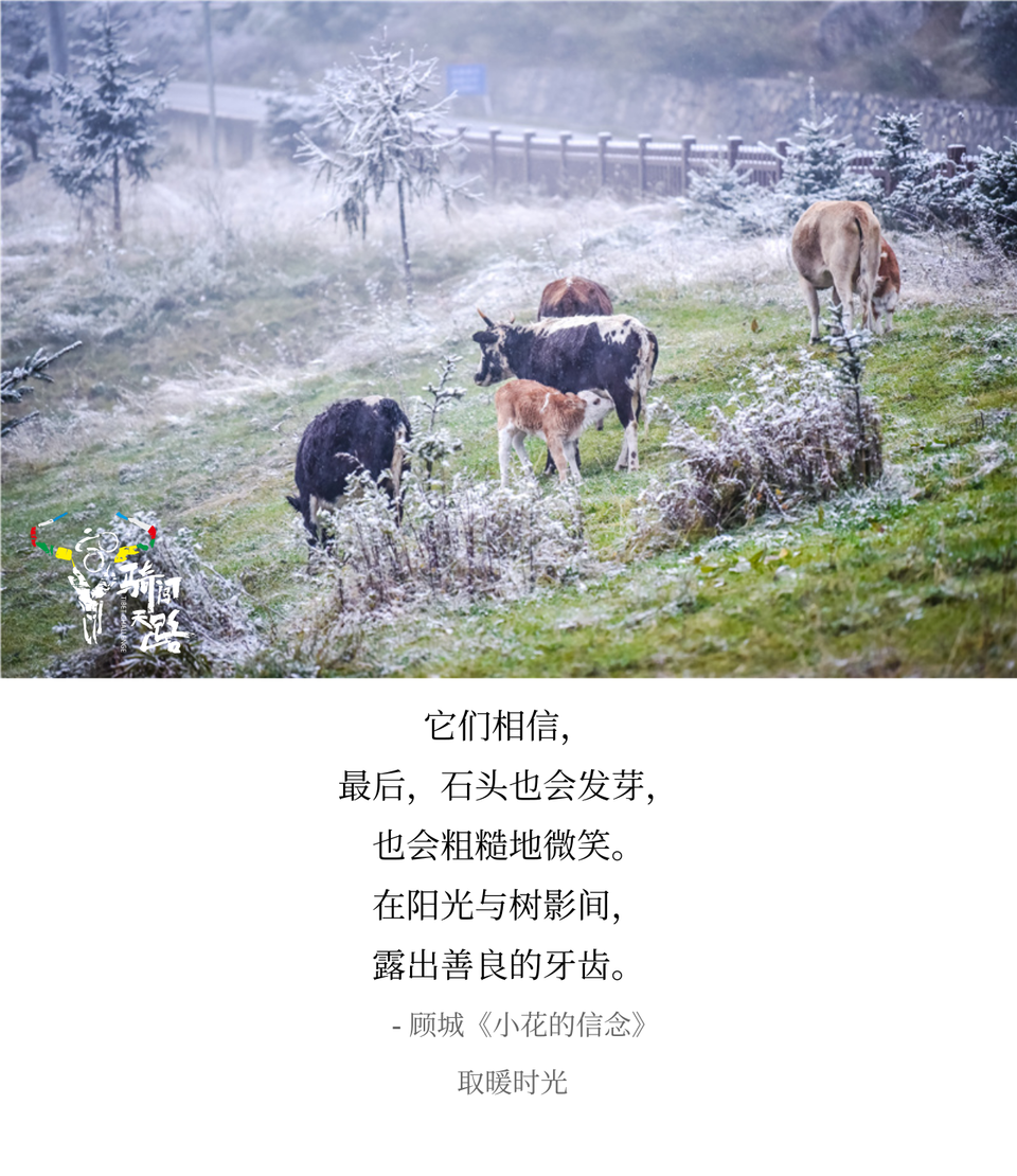 020 2019.03.31 Caesar-D9-024