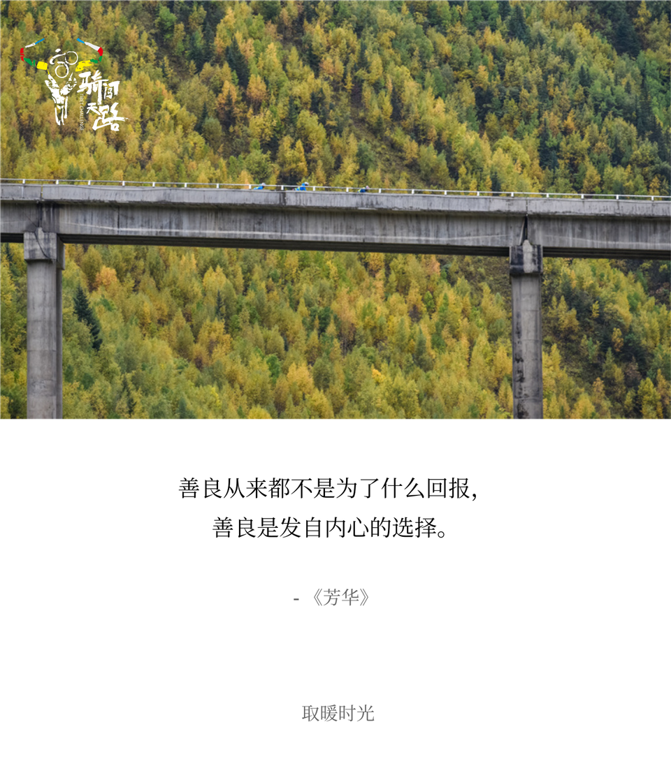 038-2 黑豹-D11-033