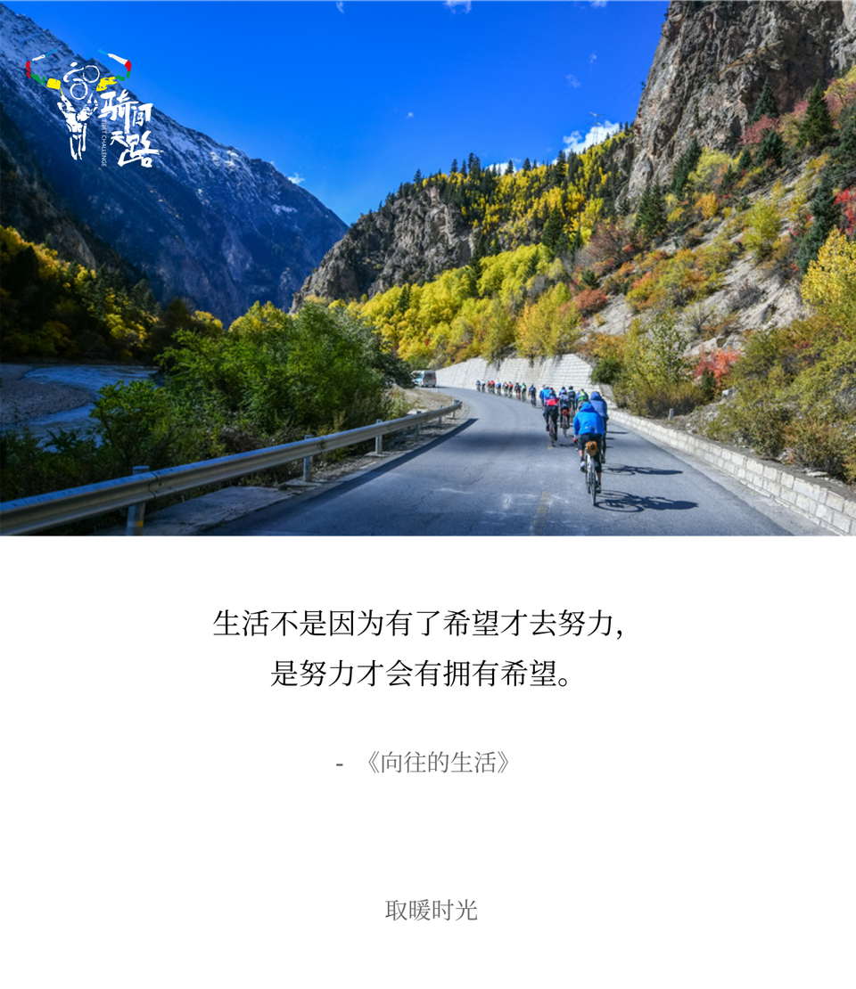 041-1 黑豹-D14-014