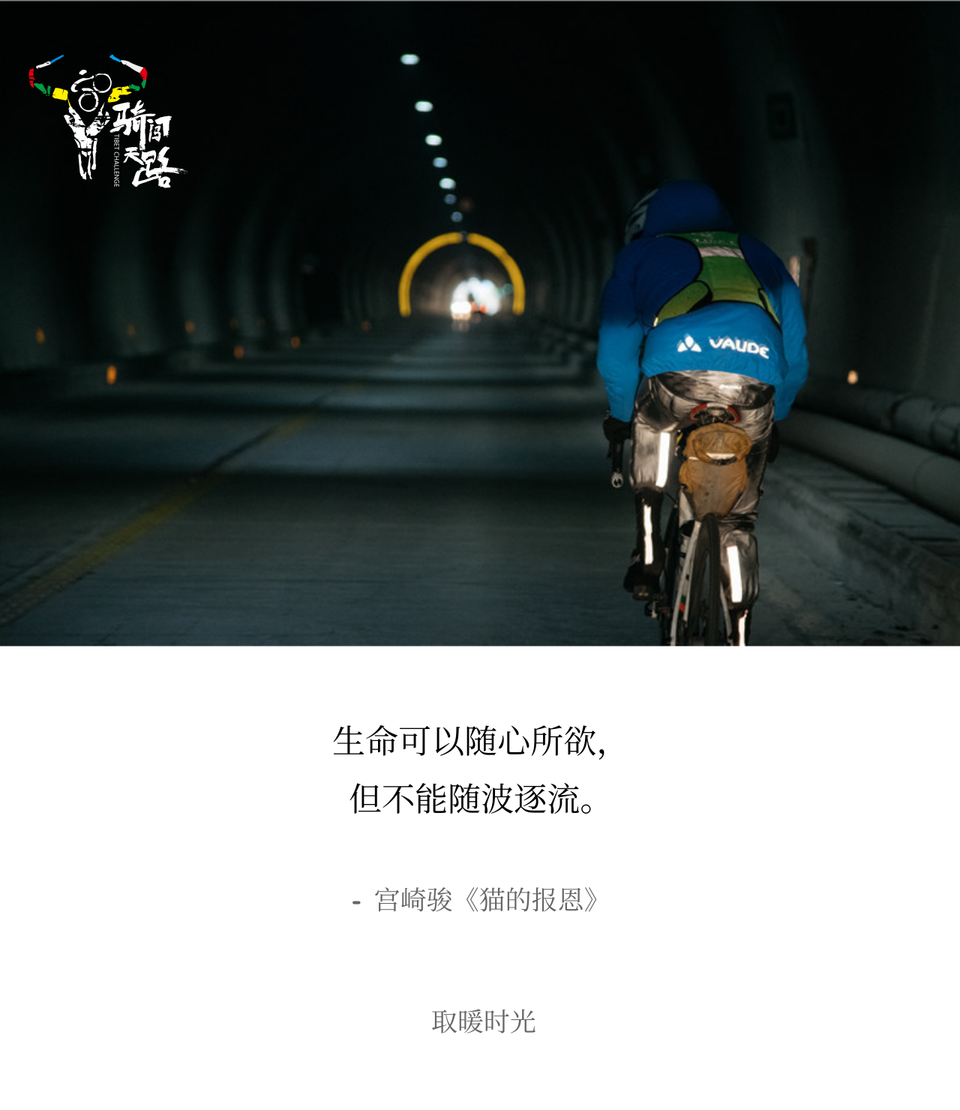 099 王飞-D11-003 2019.06.18