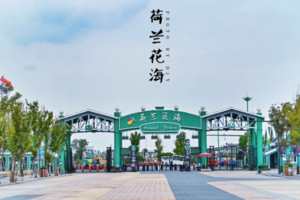【VIP头等舱21人•美食之旅•2日】5/16~17日洪泽湖湿地•大丰麋鹿园•荷兰花海•打卡盱眙龙虾