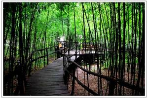 【国庆·沂南竹泉村】10/04日『醉美乡村竹泉村』『红石寨』休闲一日游