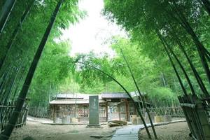 【云顶山+桑葚采摘】5/27日江北最大竹林『云顶山』『世界最长竹长廊』『桑椹采摘』一日游