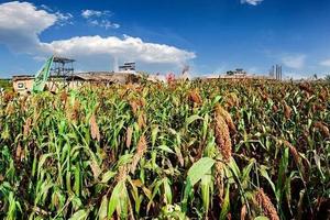 【红高粱影视城】9/16日第四届红高粱文化旅游节+民俗小吃村一日游