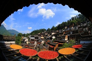 【三清山+篁岭赏秋】10/19~21日游『醉美三清山』『水墨婺源篁岭』『寻幽』『赏枫』『晒秋』二日