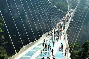 【国庆一日游】10/3日山东最大7D空中玻璃吊桥+玻璃滑道+莱阳梨采摘园+葡萄采摘一日游