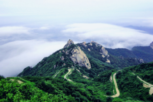 【特惠99元】5/11日烟台昆嵛山登泰礴顶、赏千亩芝樱-登山、摄影休闲一日游