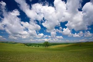 满员第五期【VIP房车•周末3日•坝上草原】8/26~28日承德避暑山庄•丰宁坝上草原•京北第一天路•骑马•烟花篝火