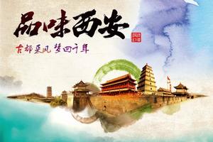 【坐卧车•5日•西安•洛阳•平遥】初三~初七西安•大唐不夜城•回民街•大雁塔•兵马俑•龙门石窟•平遥古城•王家大院