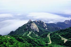 【一团仙气十足的“粉色云雾”悄然来袭】国庆假期★《相约昆嵛山》10/03日『石门里赏秋』『网红粉黛子草』『森林文化博物馆