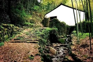 【坐卧车35人•绍兴踏春•3日•夜车】2月21~23日轻徒步绍兴上青古道•千亩梅花•安昌古镇•东浦古镇•鲁迅故居