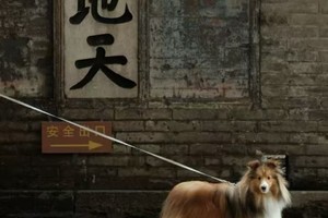 【山人携宠主题游•3日•五台山之约】9/26~28日让小狗的爪印与五台的佛光相遇。