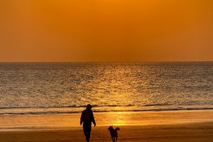 【山人狗狗旅行•2日•白鹭牧场撒欢】11/29~30日九仙山漫步·烤全羊·白鹭湾尽情撒欢·草地露营