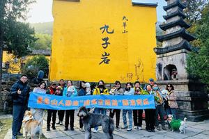 【山人乐宠游•4日•毛孩子朝圣之旅】1/15~18日九子岩•祈福碎碎念•慢城静谧•止马岭漫游•恋山草原撒欢