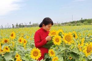 【官宣&秋日暖阳】10/28日红高粱影视基地+花脖子山寨&单家大院&莫言故居&民俗小吃村一日游