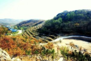 【亲子●研学】3/10日 正华石佛山+草莓采摘+快乐植树+惊险滑草+特色植物园+农耕展馆+农家宴一日游