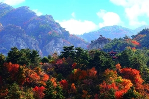 【一团仙气十足的“粉色云雾”悄然来袭】国庆假期《相约昆嵛山》10/4日『石门里赏秋』『网红粉黛子草』休闲摄影一日游