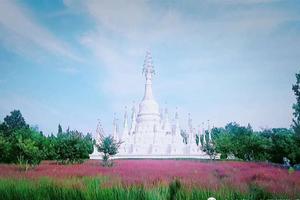 【当青云白塔遇见粉黛花海】10/06『安丘青云山粉黛乱子』『玻璃桥』『首届民宿文化节暨动漫国风嘉年华』休闲一日游