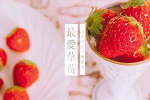 【爱你 “莓”商量】【赠旅游代金券30元】3/06日红石崖草莓采摘、黄岛野生动物世界踏青 休闲一日游